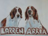 Uživatelský avatar