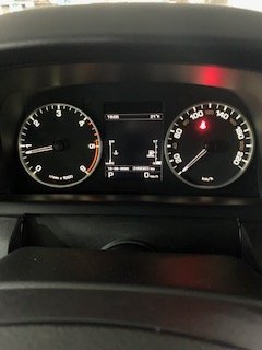 IMG_9774.jpg