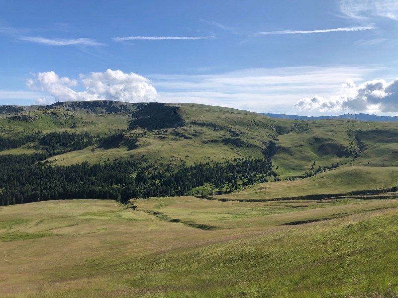 238 -Transalpina.jpg