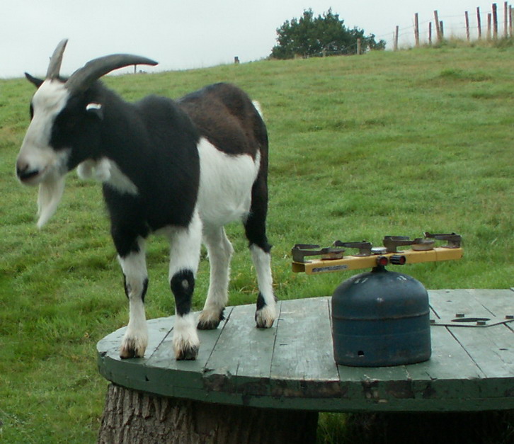 PICT2477.jpg