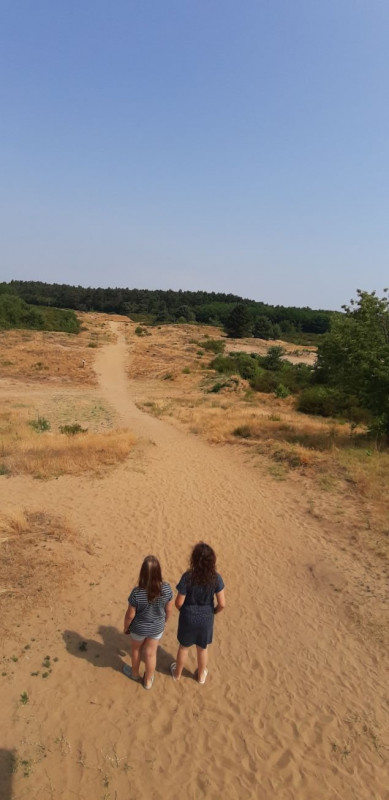 v Chorvatsku jsme našli i písečnou poušť - je malá a podle cedulí  jediná v Chorvatsku