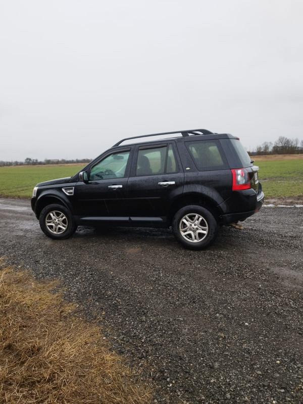 Freelander1.jpg