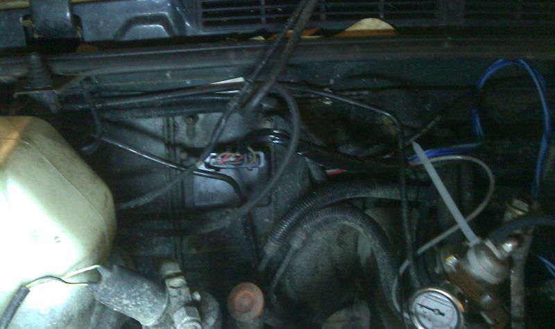 IMAG0294.jpg