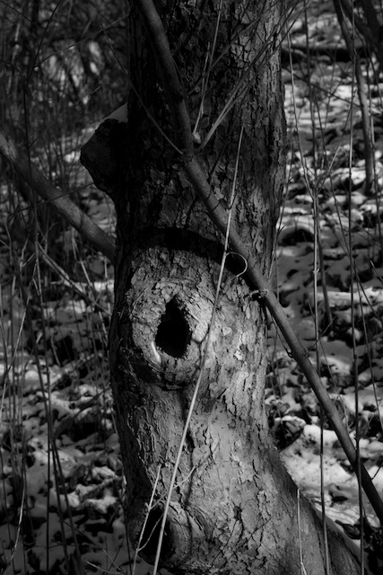 DSC_6923.jpeg
