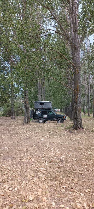 20250728_190902.jpg