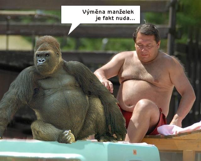 vymenamanzelek.jpg
