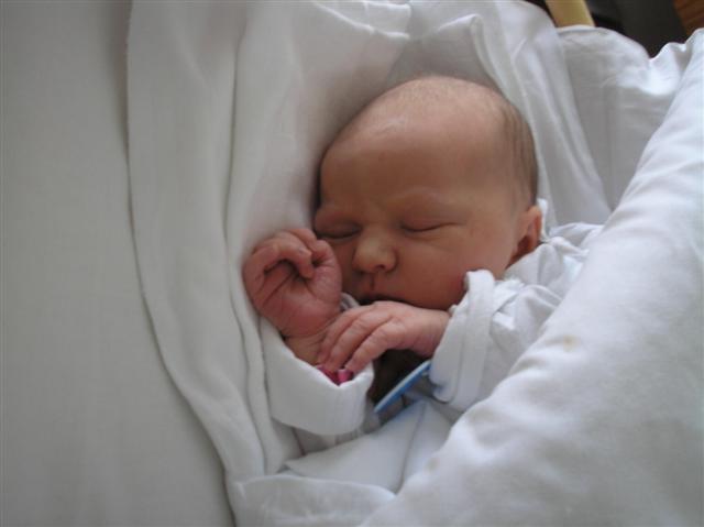 P1041335 (Small).JPG