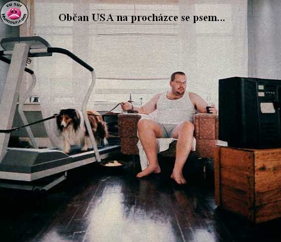 Amík_venci_psa.jpg