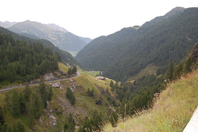 DSC_07450006_1.JPG