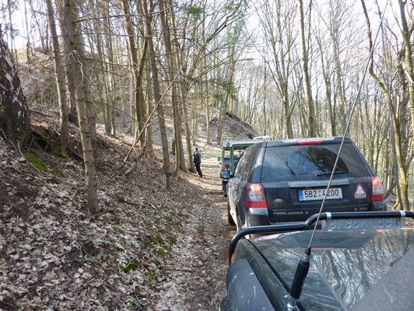 Kolona a Olin přišpendlený ke stromu.