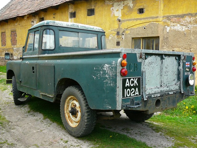 holka sexy back.JPG