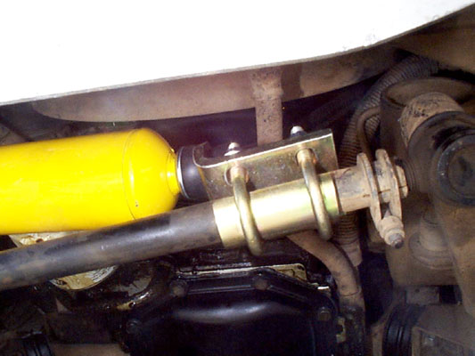steer3.jpg