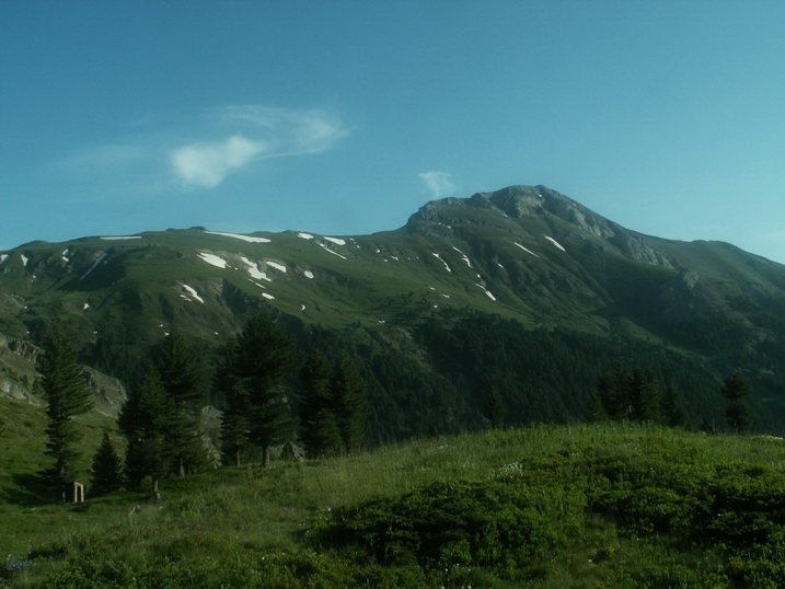 PICT0137.JPG