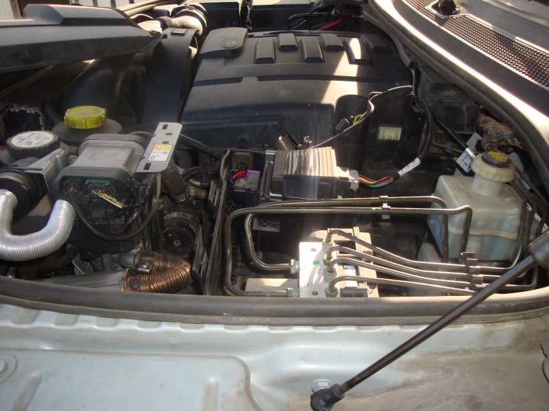LR D3 008.jpg