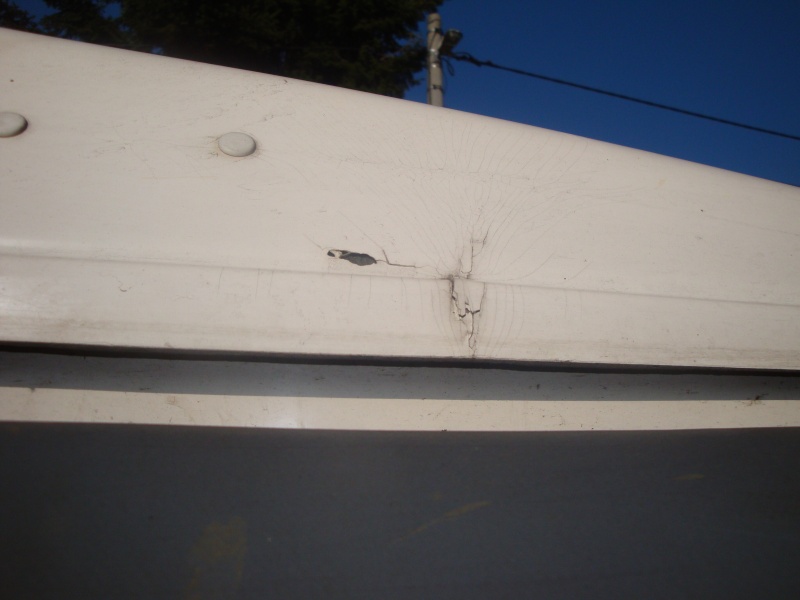 LR D3 015.jpg