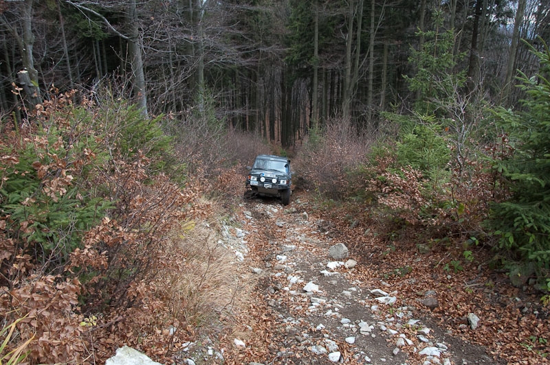 DSC_2584.jpg