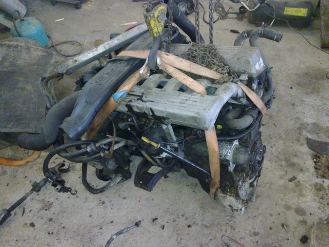 mini-29112010323.jpg