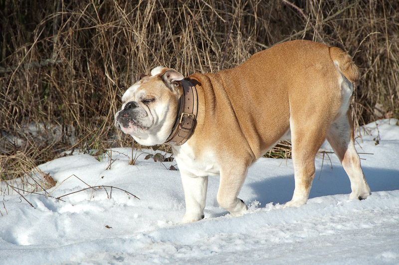 DSC_3183.jpg