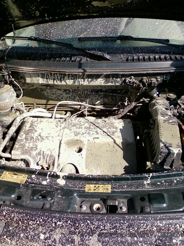 motor FREE.jpg