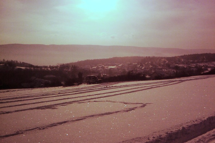 IMAGE_584b.jpg