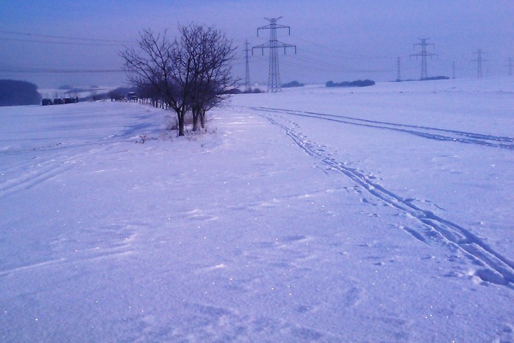 IMAGE_577b.jpg