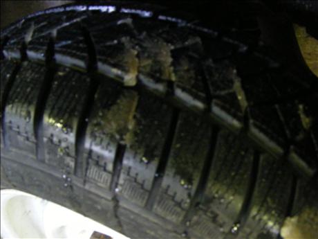 DSCF1375.jpg