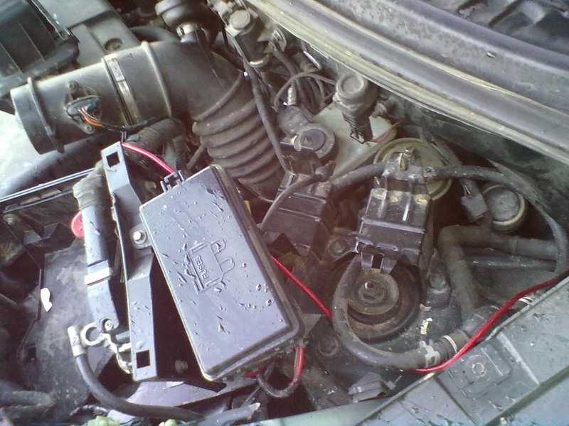 03012011033.jpg