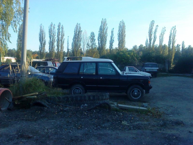 DSC01581 maly ksilt.JPG