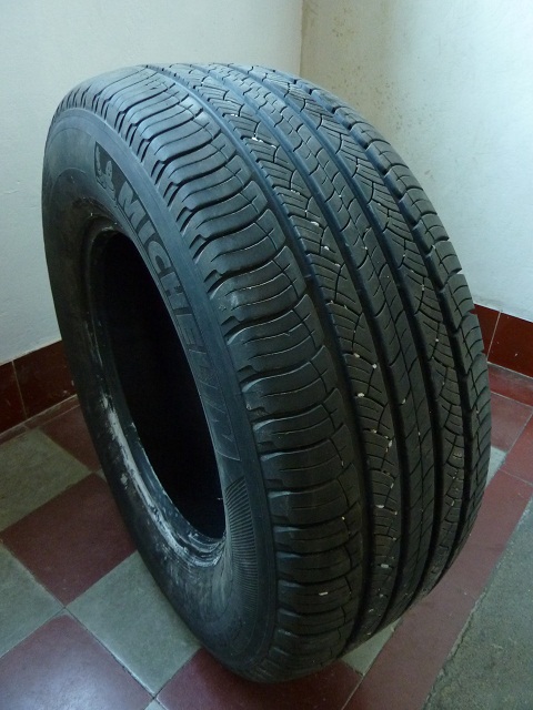 P1010513-2.jpg