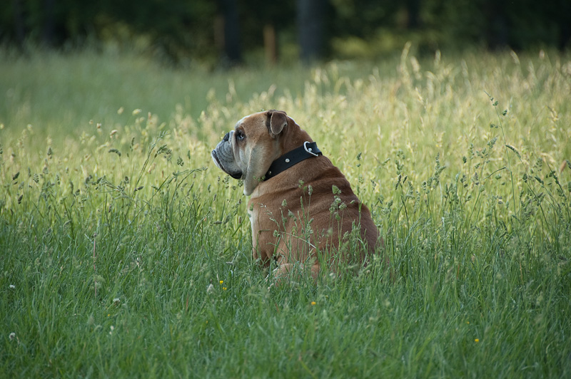 DSC_8126.jpg