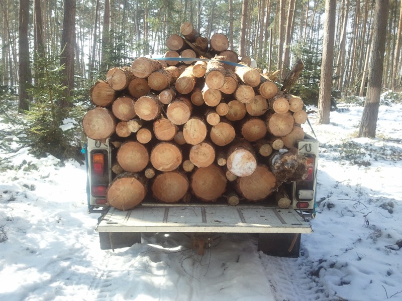 2011-02-26 12.12.32.jpg