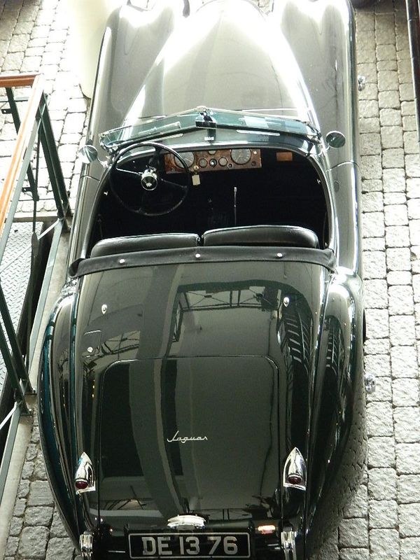 Jaguar.jpg