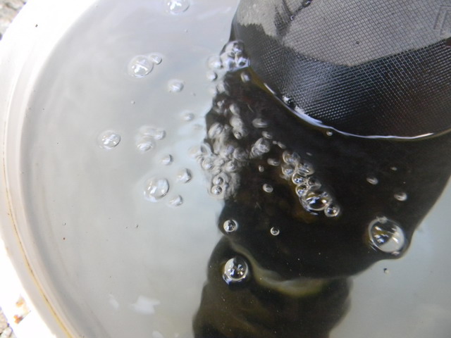 DSCN2031.jpg