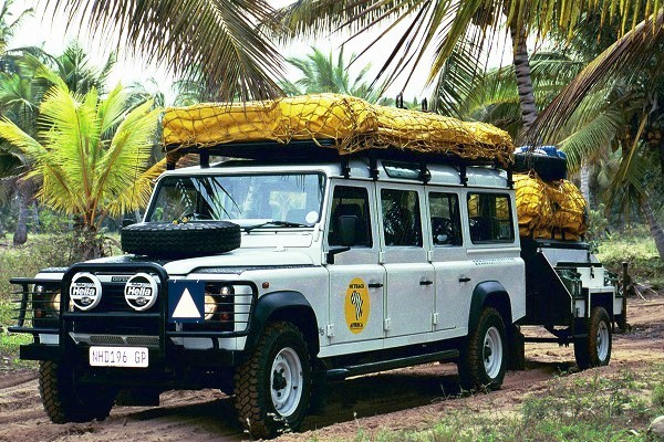 D147.jpg