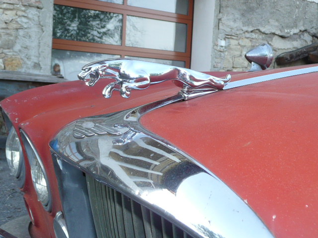 auta 001.jpg