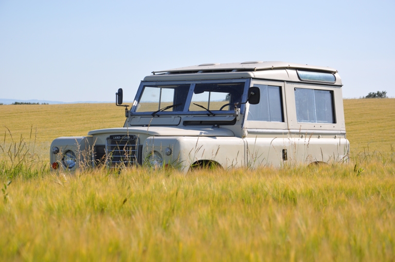 DSC_0637.JPG