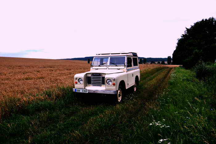 DSC_0307m.jpg