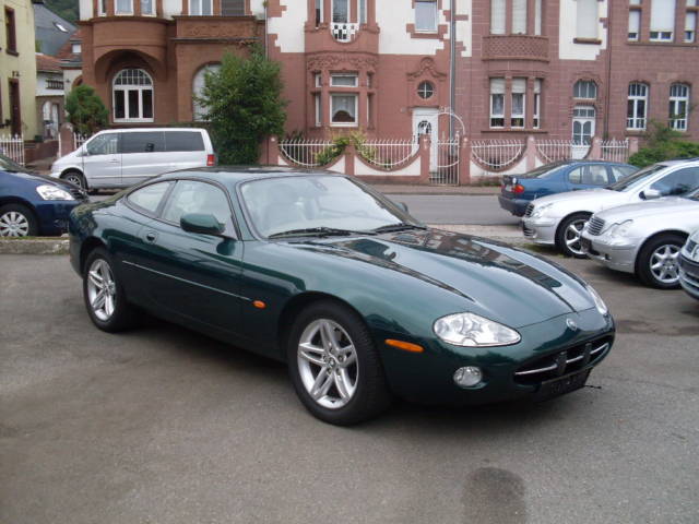 Jaguar 1.jpg