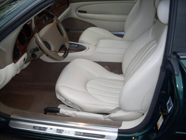 Jaguar 5.jpg