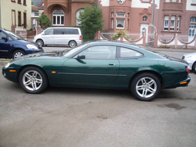 Jaguar 12.jpg