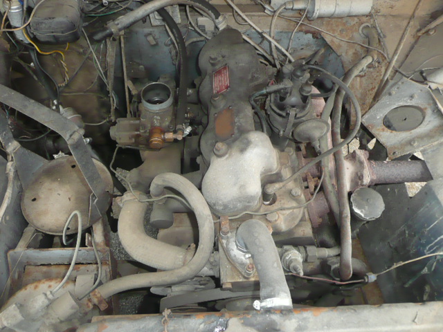auta 271.jpg