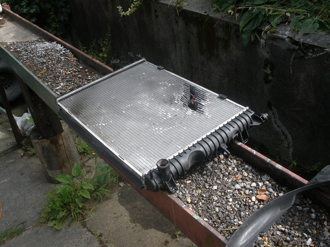 P9092378 LR ch.jpg