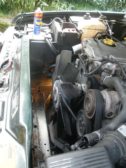 P9092380 LR ch.jpg