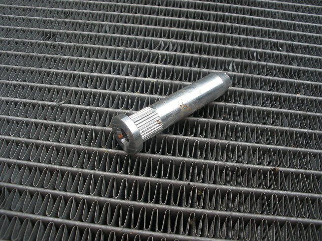 P9092381 LR ch.jpg