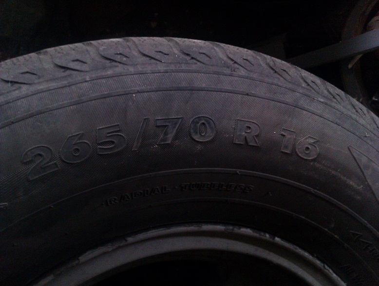 IMAG0339.jpg