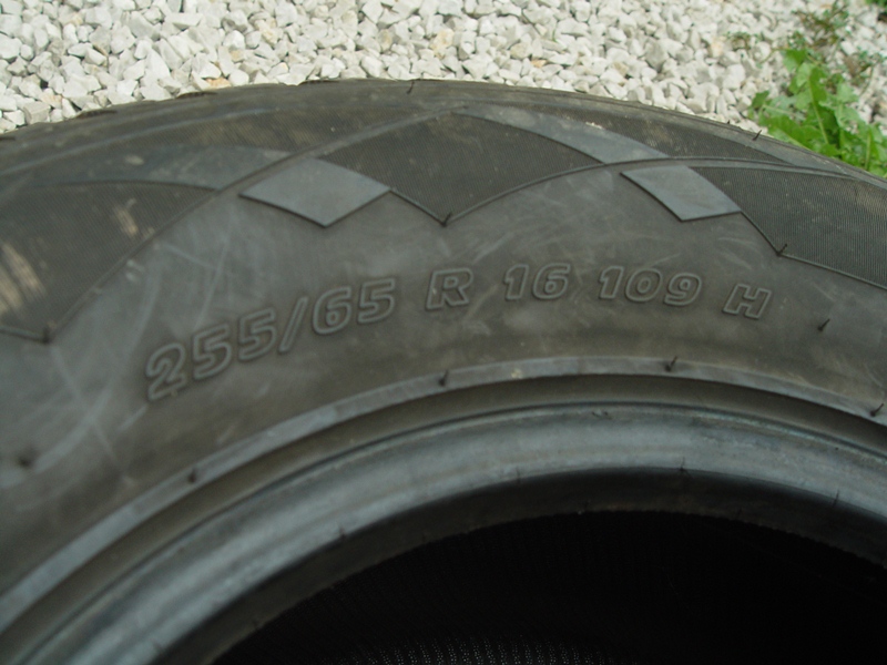 DSC09892.JPG