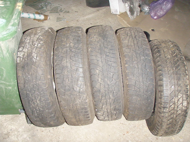 PA310009.jpg
