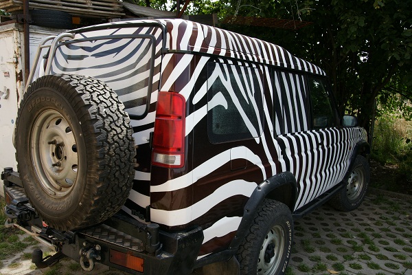 zebra1.jpg