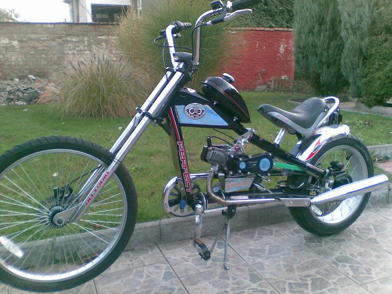 Felicie 431.jpg