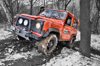 DSC_0172.jpg